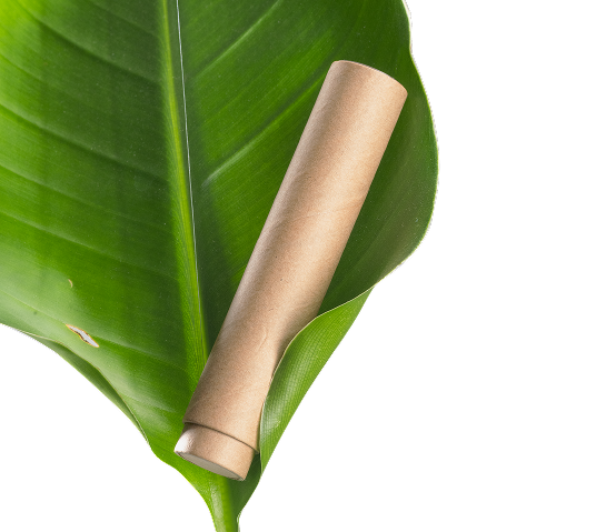 How Eco-Friendly Packaging Helps Reduce Waste in the Cannabis Industry